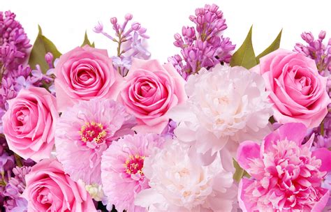 Pink Flower Background Images .